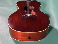 Gibson TG-0_11