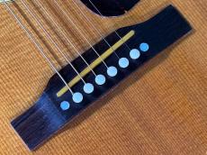 Gibson J-50_10