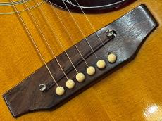 Gibson HUMMINGBIRD CS_10