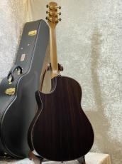 Morris 【春一番フェア!!】【試奏動画あり】CTM TC-101K #2505037【クロサワオリジナルモデル】_6