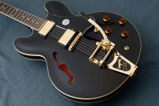 Tokai ES-201G BG-CM BB【限定生産モデル】_8