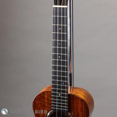 Kanile'a KPA Tenor PG_4