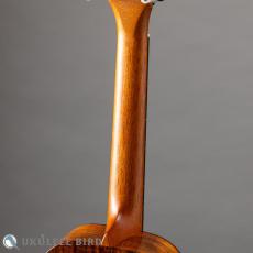 Kanile'a KPA Tenor PG_7
