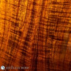 Kanile'a KPA Tenor PG_9