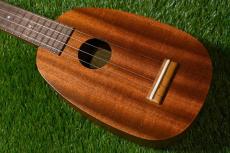 Famous FS-2PG Soprano Pineapple