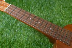 Famous FS-2PG Soprano Pineapple_7