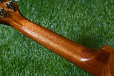 Famous FS-2PG Soprano Pineapple_8