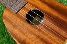 Famous FS-2PG Soprano Pineapple_9