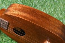 Famous FS-2PG Soprano Pineapple_13