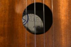 Famous FS-2PG Soprano Pineapple_14