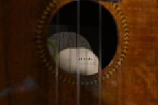 Famous FLS-2G Soprano LongNeck_14