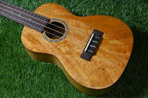 DCT DUC-200MG-2 Concert