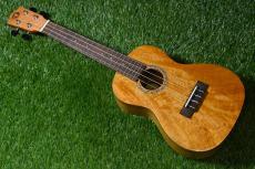 DCT DUC-200MG-2 Concert_2