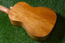 DCT DUC-200MG-2 Concert_3