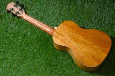 DCT DUC-200MG-2 Concert_4