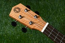 DCT DUC-200MG-2 Concert_5