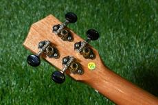 DCT DUC-200MG-2 Concert_6