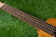 DCT DUC-200MG-2 Concert_7