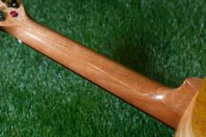 DCT DUC-200MG-2 Concert_8