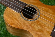 DCT DUC-200MG-2 Concert_9