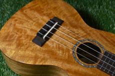 DCT DUC-200MG-2 Concert_10