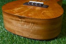 DCT DUC-200MG-2 Concert_11