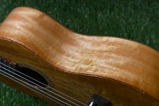 DCT DUC-200MG-2 Concert_13