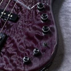 FREEDOM CUSTOM GUITAR RESEARCH RHINO 4st 【4.02kg】_4