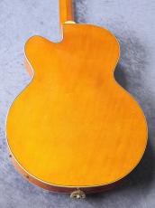 Gretsch 【GW版!お茶の水大楽器祭】G6120CGP Chet Atkins Stereo Limited Edition 【2008'sUSED】_8