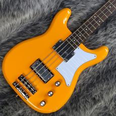 Epiphone Newport Bass California Coral
