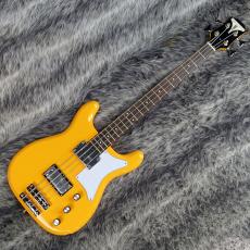 Epiphone Newport Bass California Coral_2