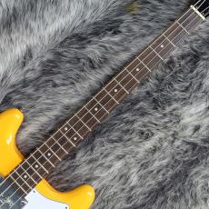 Epiphone Newport Bass California Coral_3