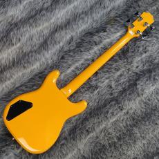 Epiphone Newport Bass California Coral_5