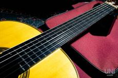 桜井 正毅 Sakurai Masaki Model P.C.R 650mm / 2016_5