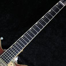 Gretsch 【1965年製】 6122 Chet Atkins Country Gentleman【3.69kg】_7