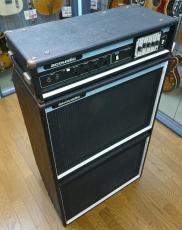 Acoustic MODEL220 & MODEL406_3