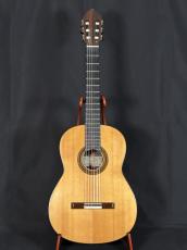 Dominique Field 松/ハカランダ単板　極美品　値下げしました_2