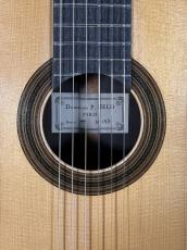 Dominique Field 松/ハカランダ単板　極美品　値下げしました_5