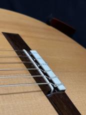 Dominique Field 松/ハカランダ単板　極美品　値下げしました_9