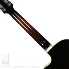 Switch SL-3 Bee (Vintage Sunburst)_6