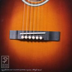 Switch SL-3 Bee (Vintage Sunburst)_10