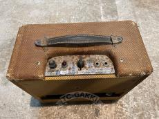 Fender 1960s Champ 5F1_2