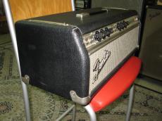 Fender 1969 Bassman Drip Edge_3