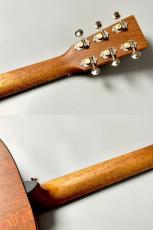 Martin DX-2E MOLLY TUTTLE#3018707【Martinプレゼントキャンペーン・5月31日まで】_6