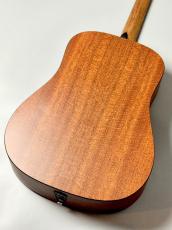 Martin DX-2E MOLLY TUTTLE#3018707【Martinプレゼントキャンペーン・5月31日まで】_7