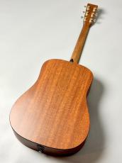 Martin DX-2E MOLLY TUTTLE#3018707【Martinプレゼントキャンペーン・5月31日まで】_8