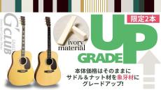 Martin 【象牙パーツ・新仕様個体】D-28Standard #2980767【無金利キャンペーン・送料当社負担】_11
