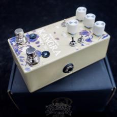 WALRUS AUDIO KANGRA (2024 Floral Series)