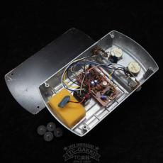 Roland AF-60 BeeGee_5