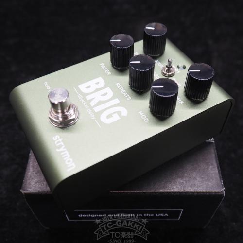 strymon BRIG dBucket delay